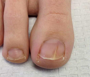 Nails nail Polish